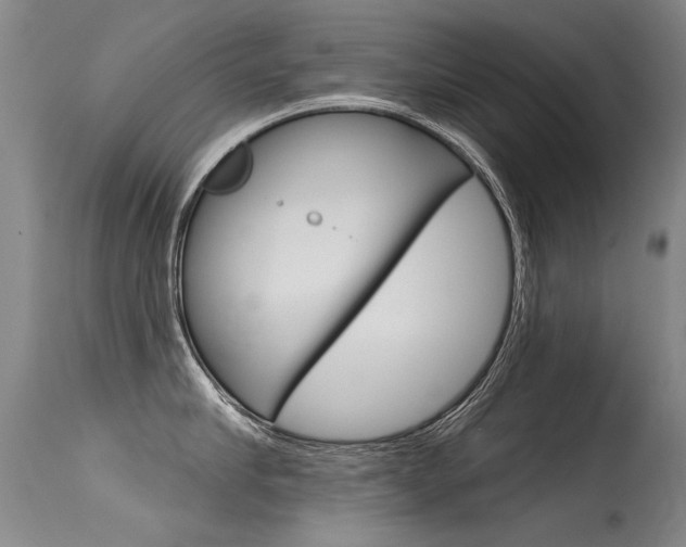 X0000115730910200911121123