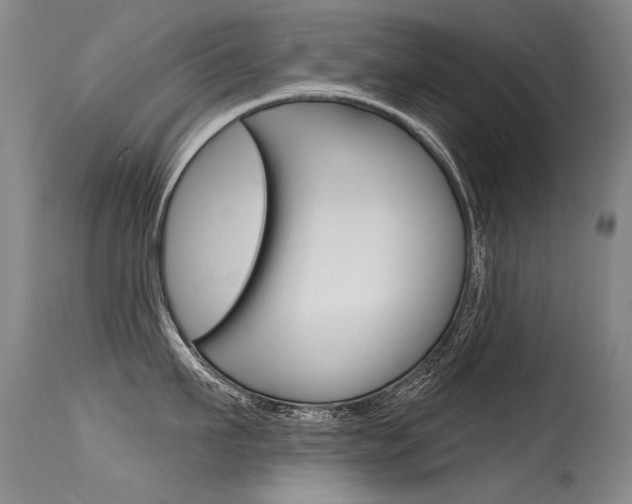 X0000115730911200911121123