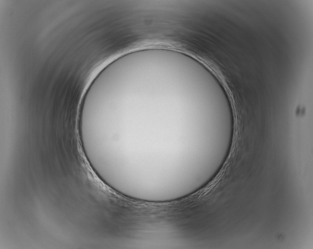 X0000115730912200911121123