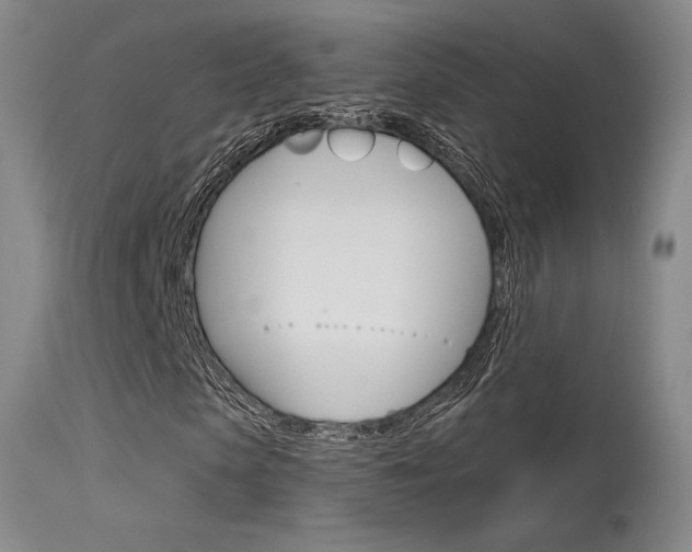 X0000115730913200911121122