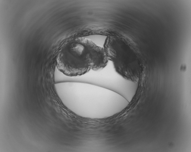 X0000115730917200911121122