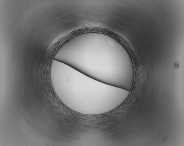 X0000115730919200911121122