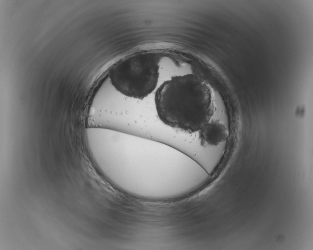 X0000115730921200911121122