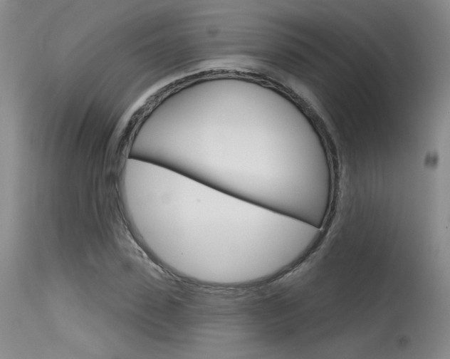 X0000115730923200911121122
