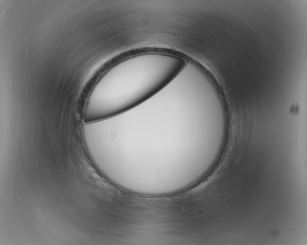 X0000115730926200911121122