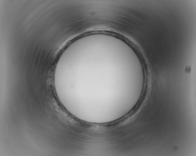X0000115730929200911121122