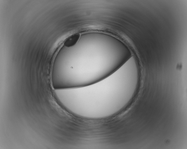 X0000115730930200911121122