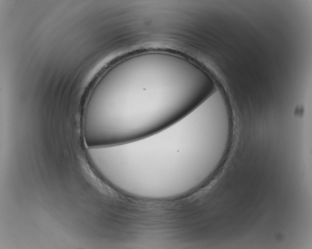 X0000115730934200911121122