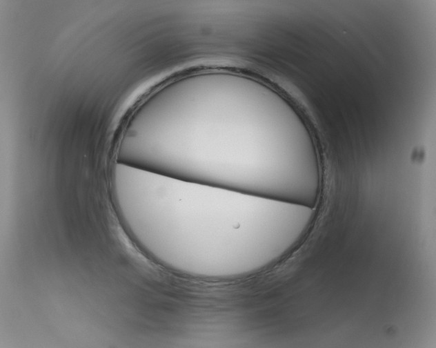 X0000115730935200911121122