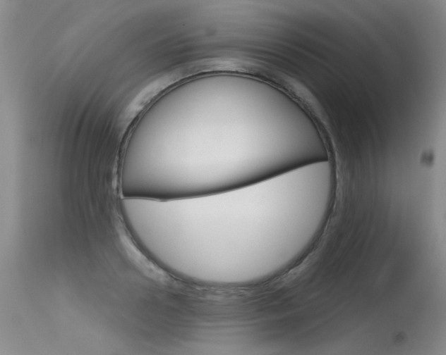 X0000115730938200911121122