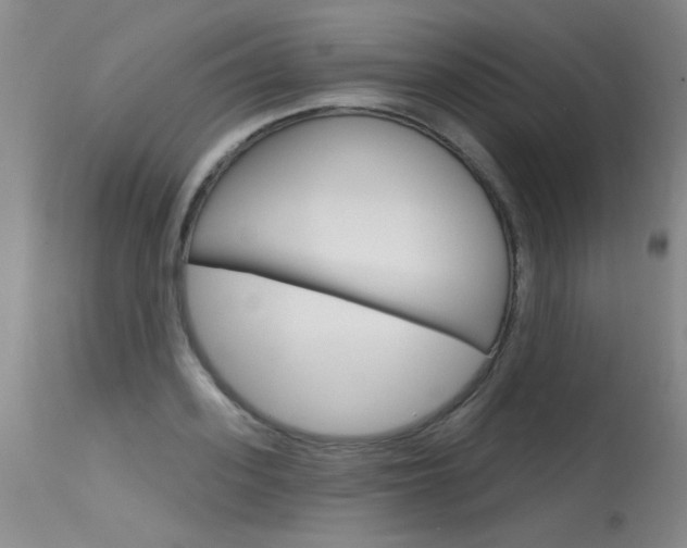 X0000115730939200911121122