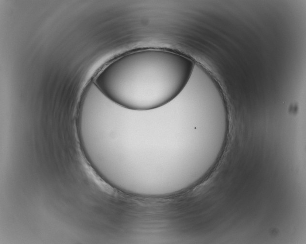 X0000115730942200911121122