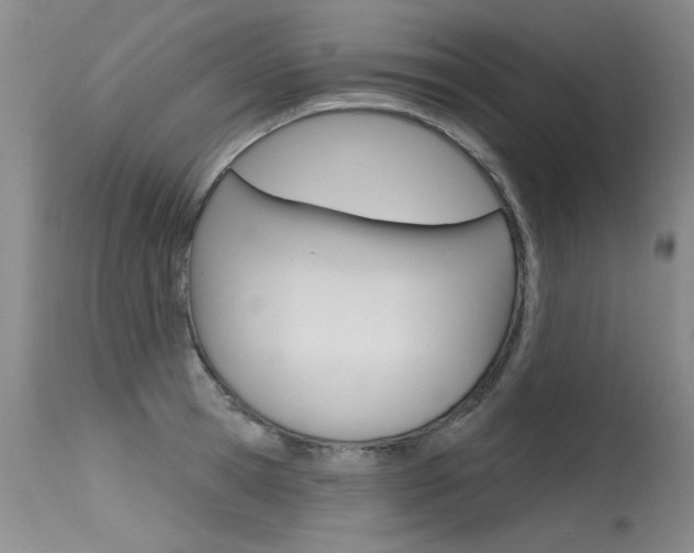 X0000115730945200911121122