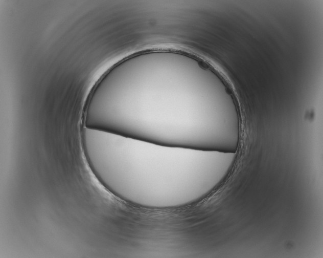 X0000115730951200911121122