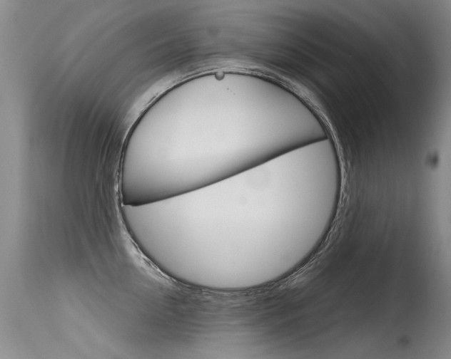 X0000115730954200911121122