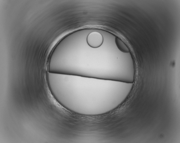 X0000115730955200911121123