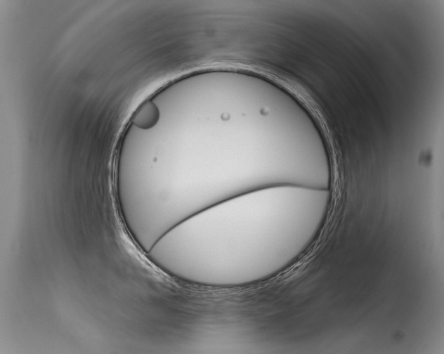 X0000115730958200911121123