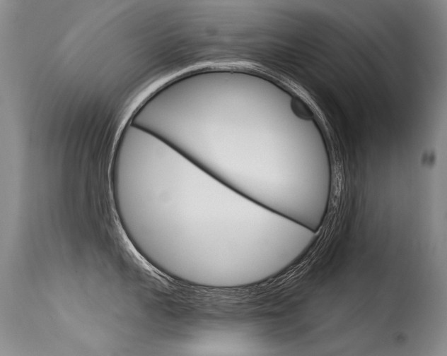 X0000115730959200911121123