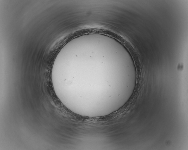 X0000115730967200911121122