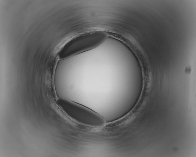 X0000115730969200911121122