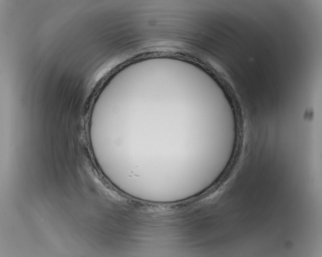 X0000115730970200911121122