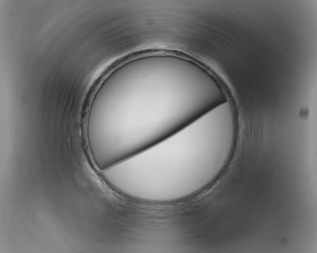 X0000115730972200911121122