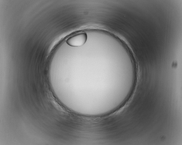 X0000115730973200911121122