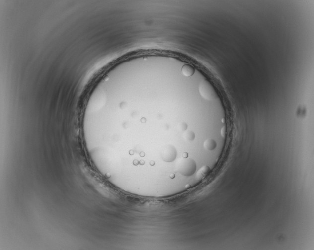 X0000115730974200911121122