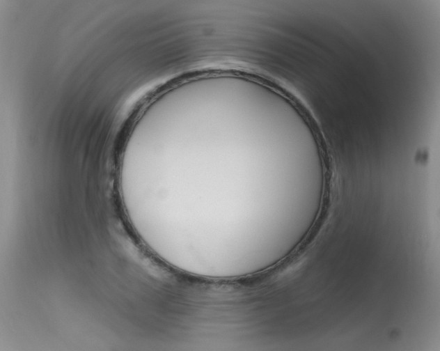 X0000115730979200911121122
