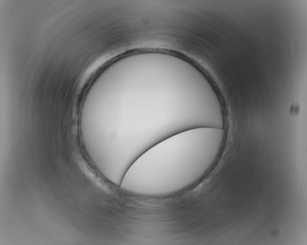 X0000115730982200911121122