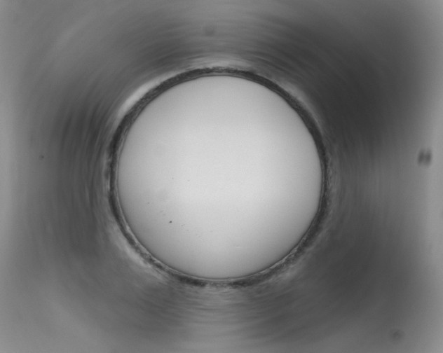 X0000115730983200911121122