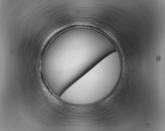 X0000115730984200911121122