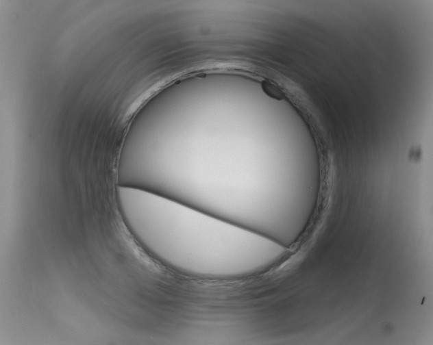 X0000115730985200911121122
