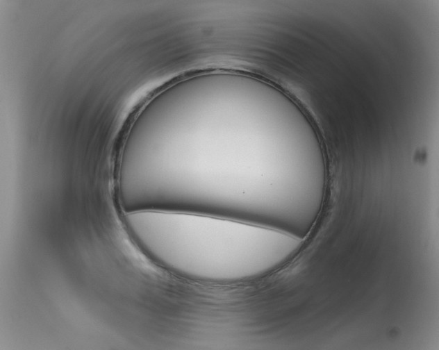 X0000115730987200911121122