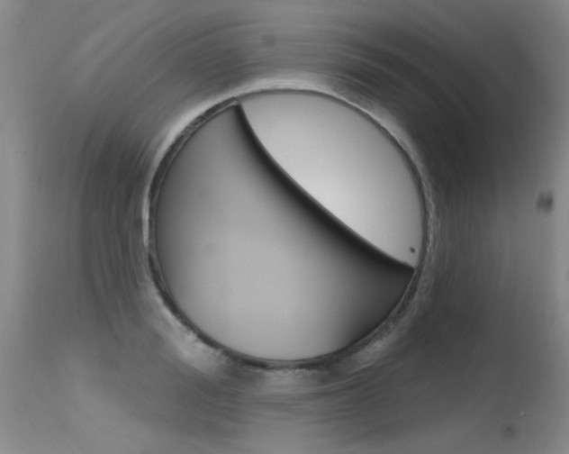 X0000115730988200911121122