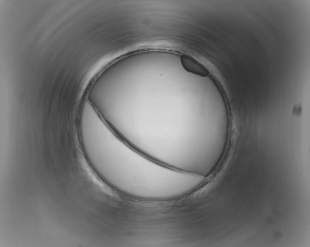 X0000115730989200911121122