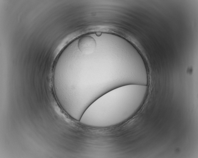 X0000115730994200911121121