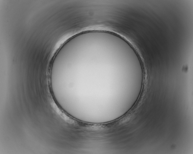 X0000115730998200911121121