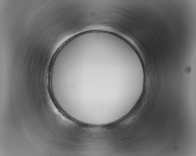 X0000115730999200911121121