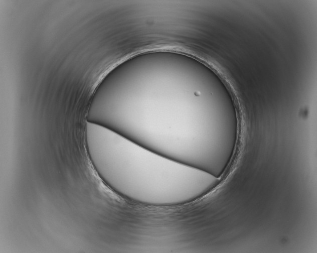 X0000115731001200911121121