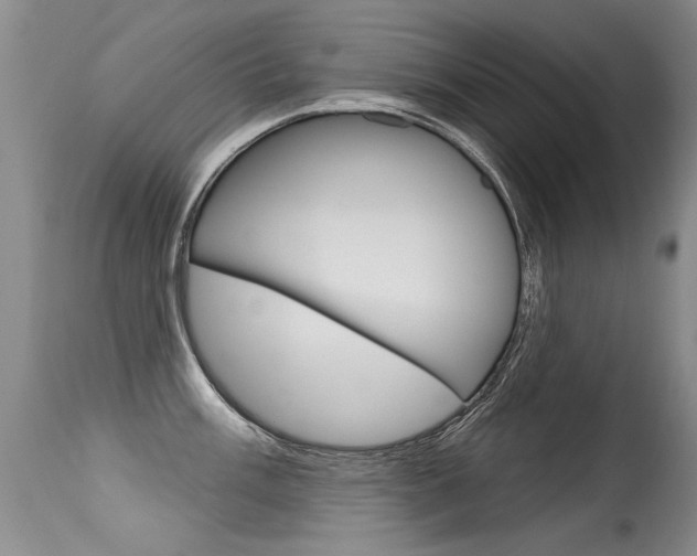 X0000115731003200911121121