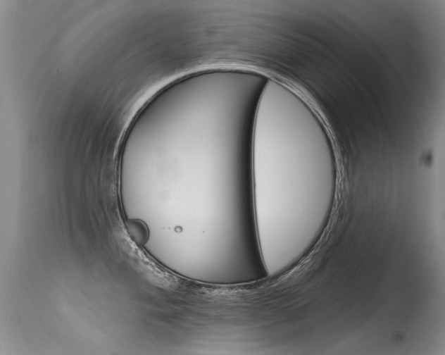X0000115731004200911121121