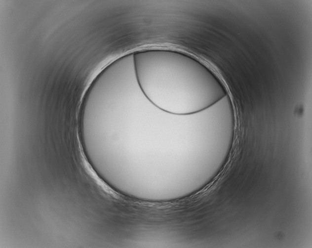 X0000115731005200911121121
