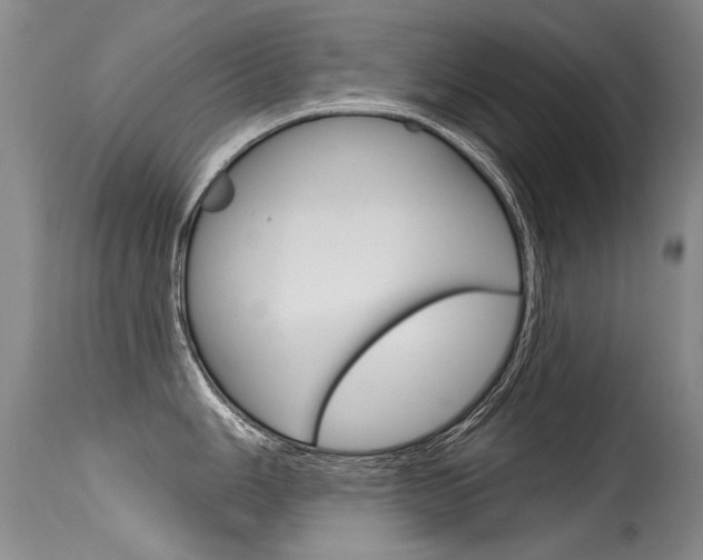 X0000115731006200911121121