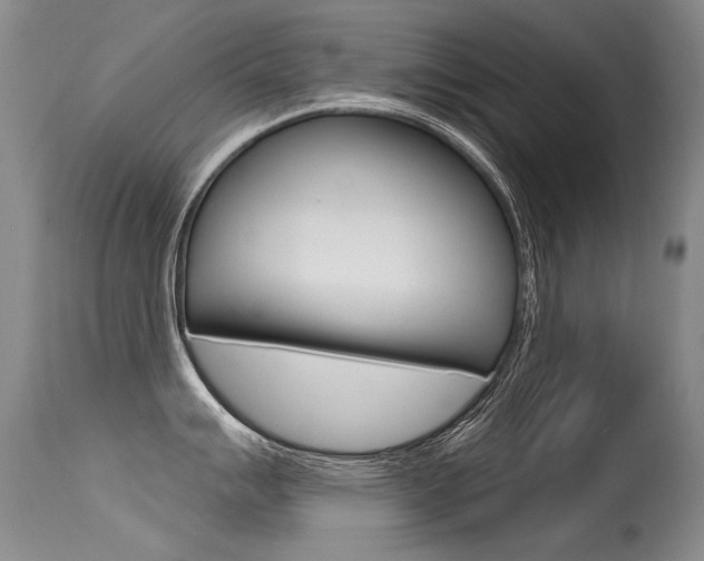 X0000115731007200911121121