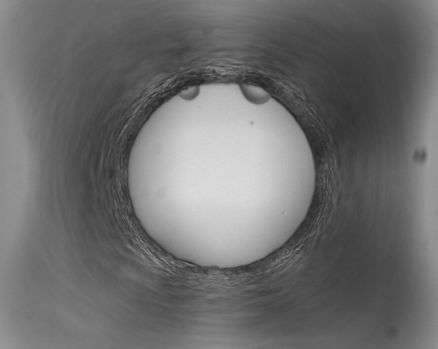 X0000115731009200911121121