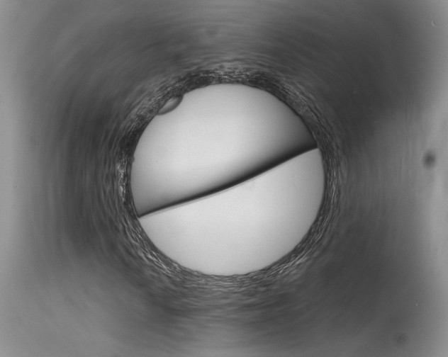 X0000115731010200911121121