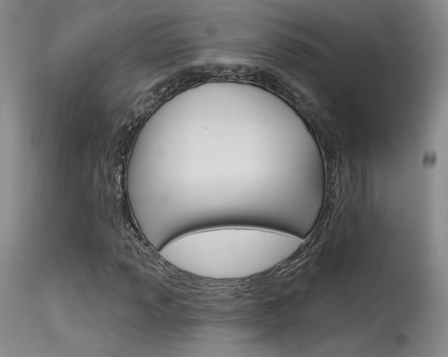 X0000115731013200911121121