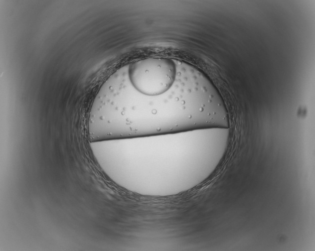 X0000115731014200911121121