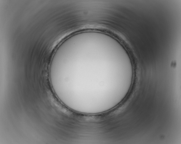 X0000115731025200911121121